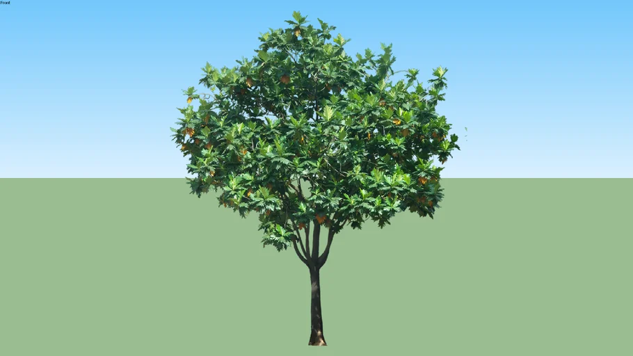 ARBOL 3D
