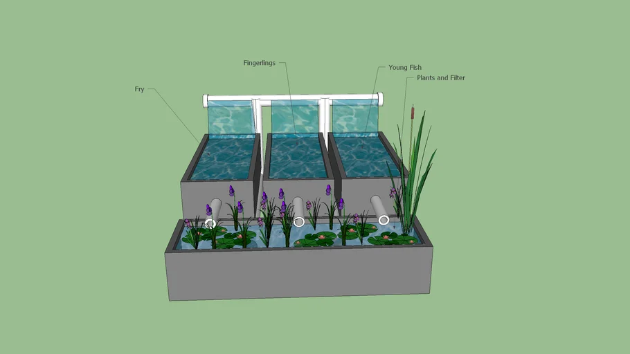 Miniture Fish Farm