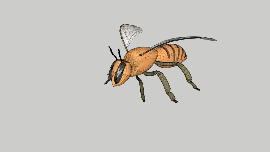 honey bee 3D