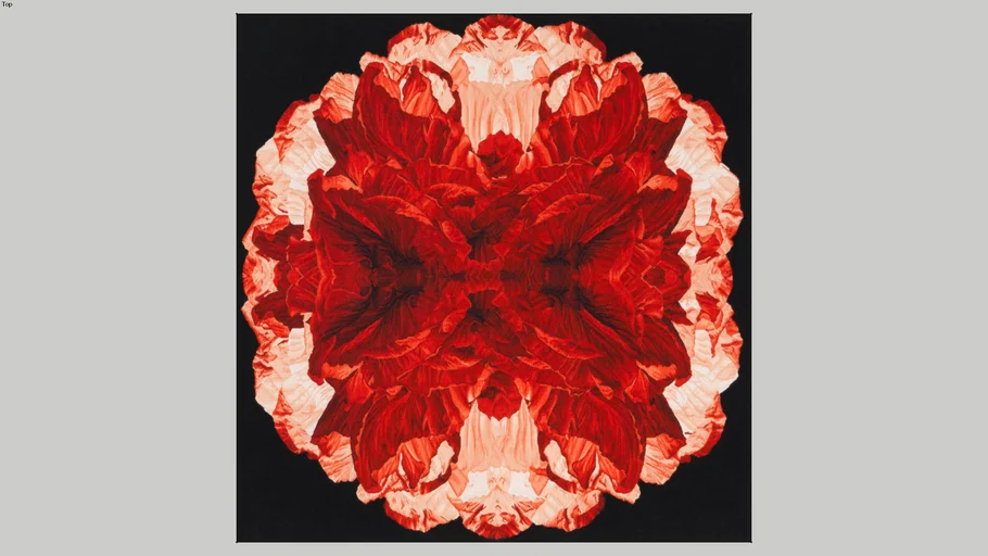 THE RUG COMPANY ALEXANDER MCQUEEN POPPY NIGHT