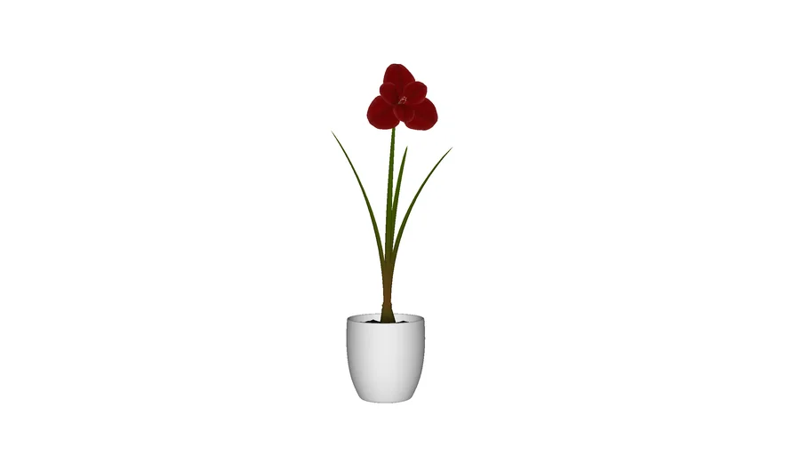flor