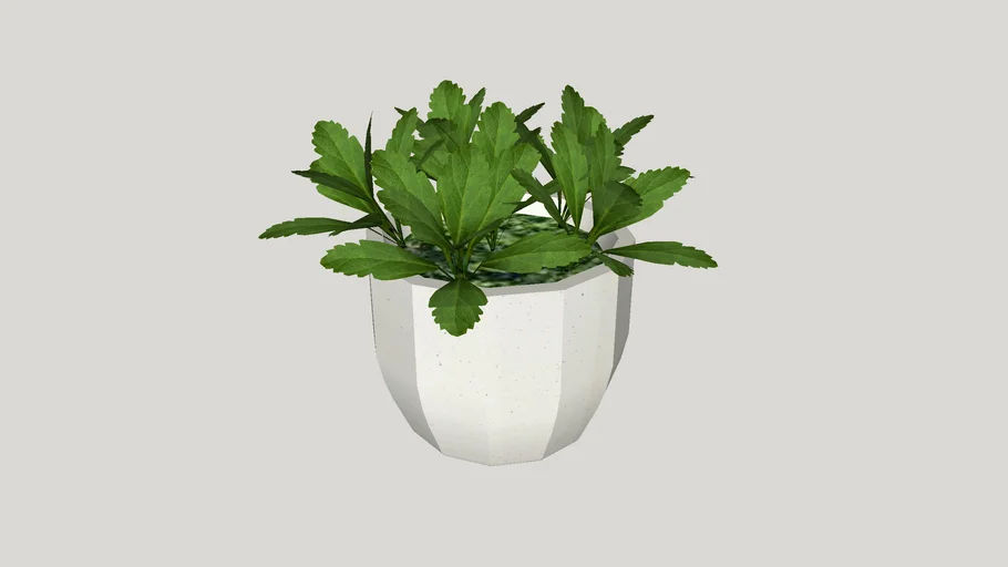 Low poly Eira Faceted Pot Plant