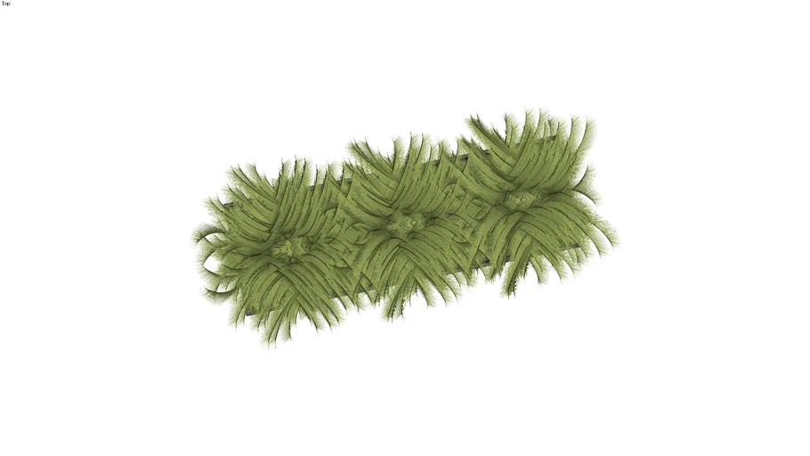 jardinera