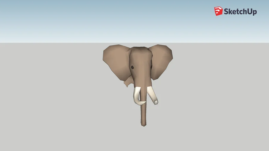 elephant head