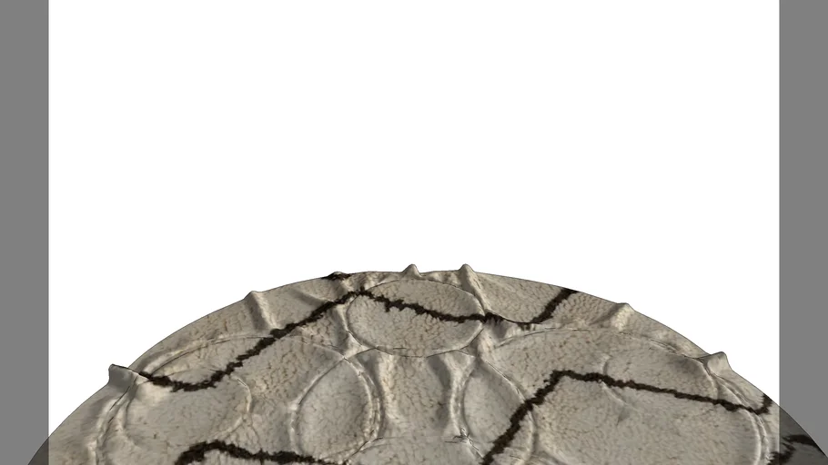 round rug
