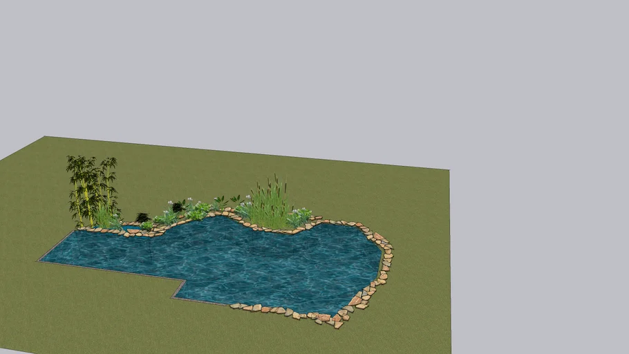 Natural pond pool