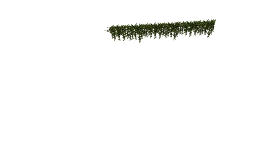 PLANTAS PENDENTES PAREDE