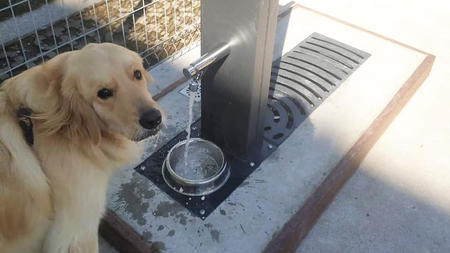 Bebedouro Fuente Pet