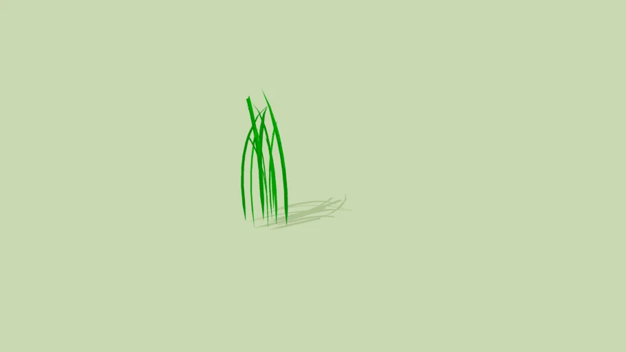 pasto