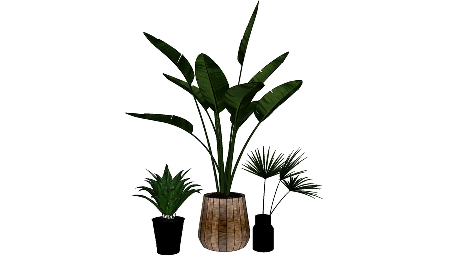 POTS PLANT (43).skp