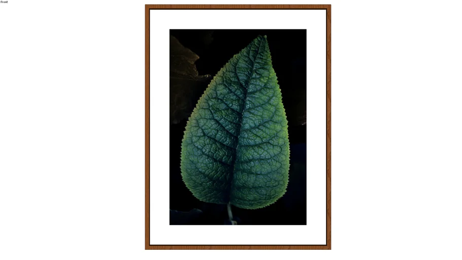 Quadro Fundo Preto II