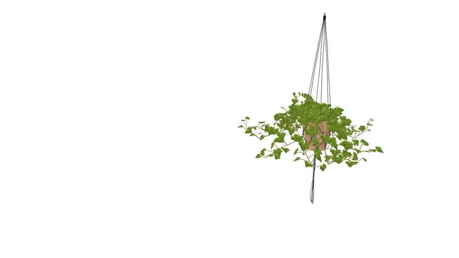 hanging plant | 3D Warehouse