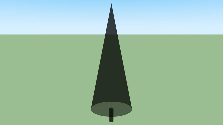 Conifer