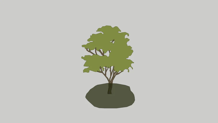 pohon