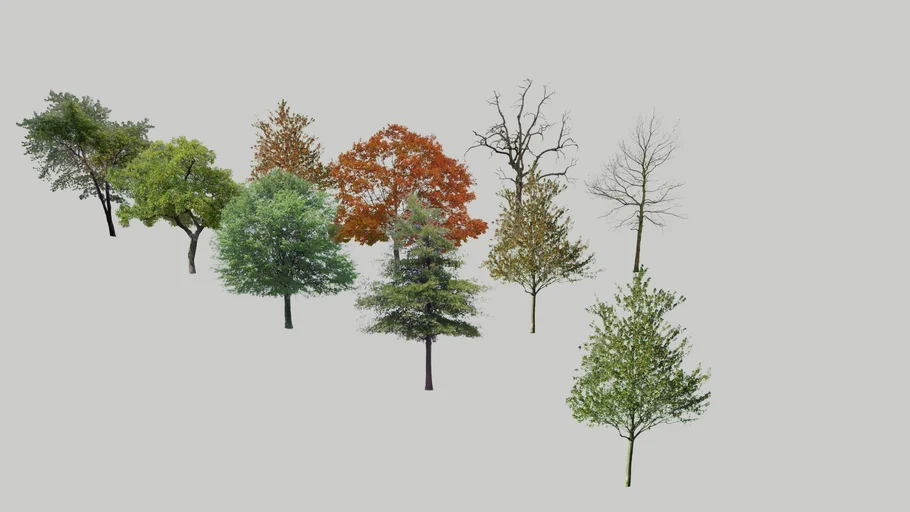 2D trees | 3D Warehouse
