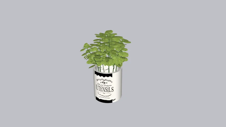 Indoor Table Plant