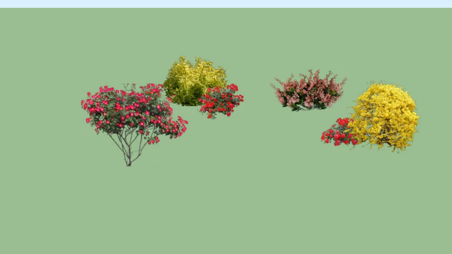 trees,shrubs,and flowers