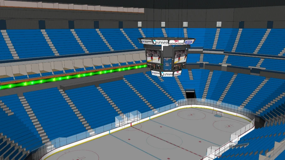 NHL Arena (almost completed)