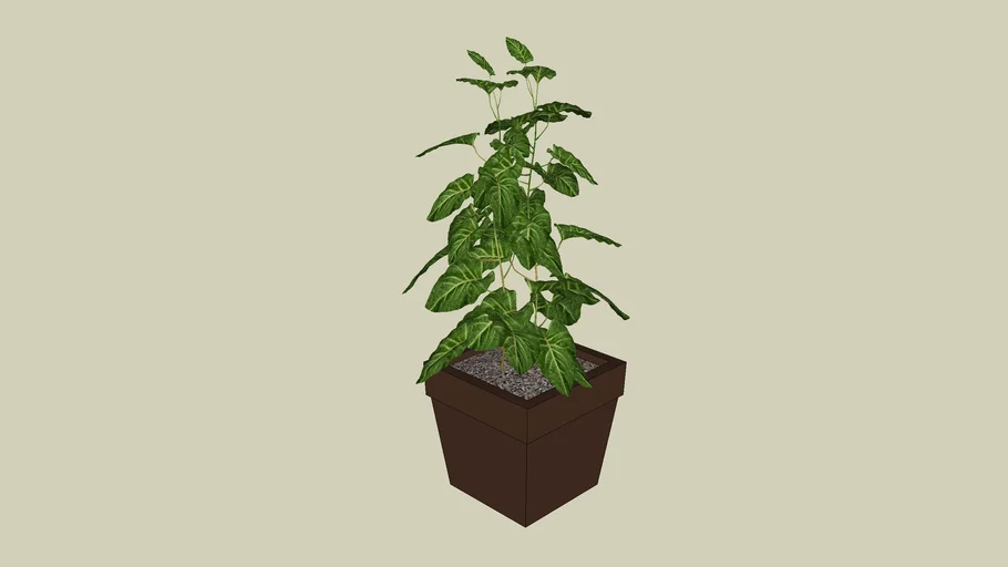 Vaso com planta