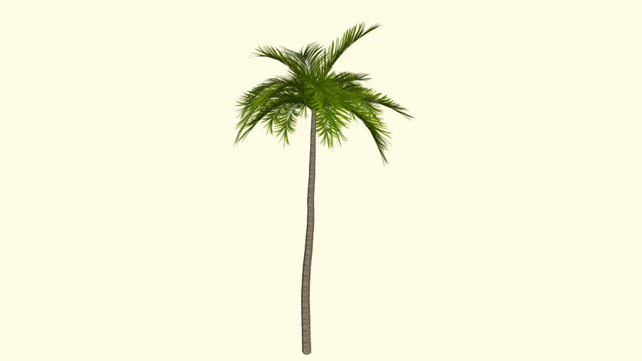 PALMEIRA