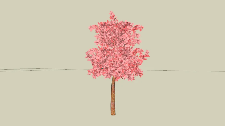 Sakura tree