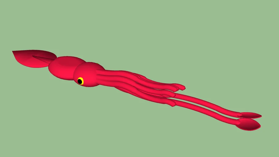 Colossal Squid