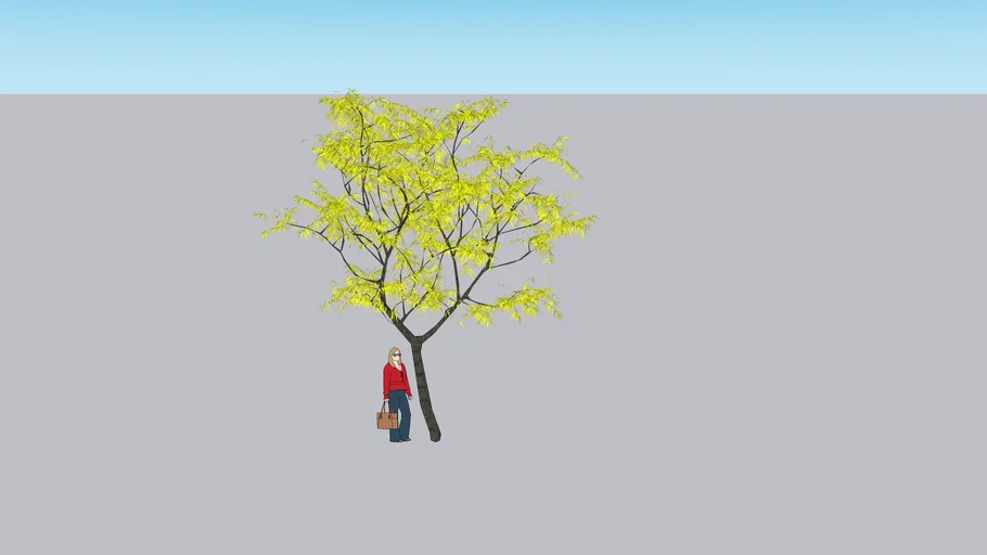 Arbol guayacan