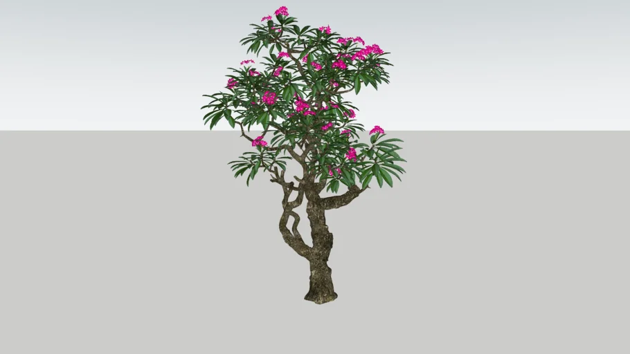Khmer-Tree 3D