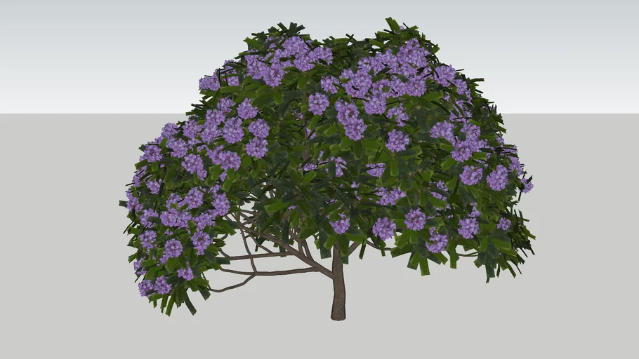 rhododendron Roseum Elegans | 3D Warehouse