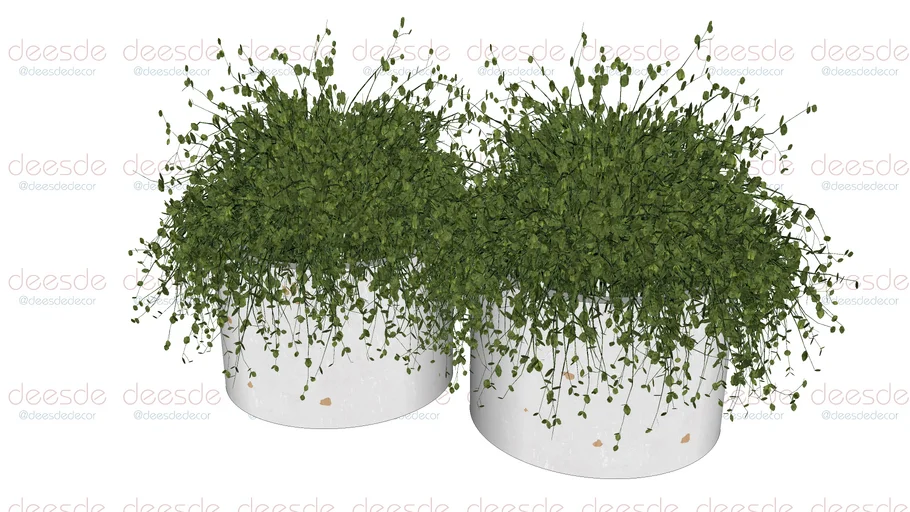 Adorno Vaso - DEESDE DECOR Vaso Muniz Branco Duo Pequeno