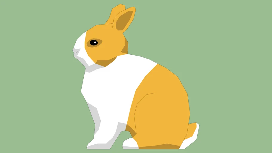 Dwarf Rabbit 2D dutch belted fawn/red