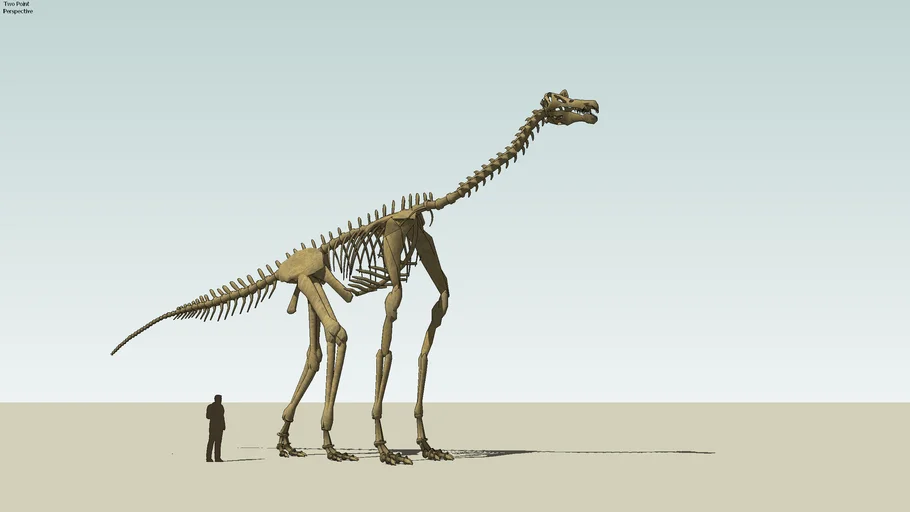 Atlasaurus imlakei, dinosauro, dinosaur, scheletro, skeleton, bone