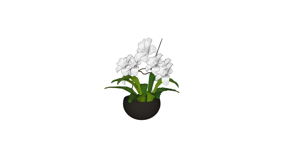 flower vase