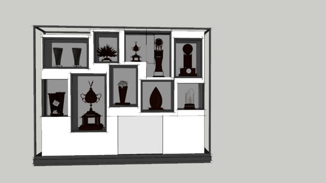 220l x 30 x 175h trophy display shelves