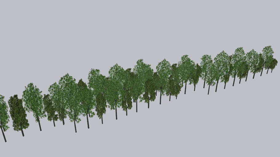 Trees