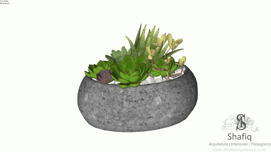 Vaso de Planta | Suculenta