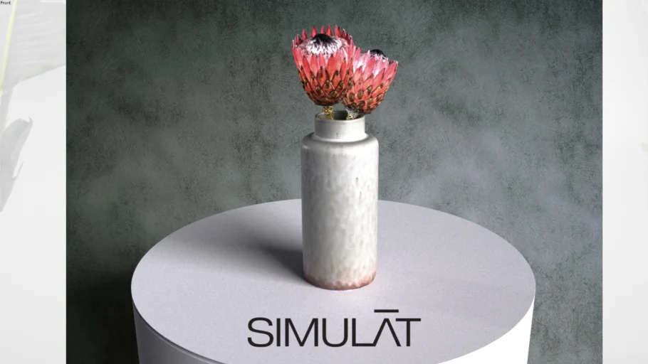Simulat 3d scanned: Protea Flowers in Ceramic Vase