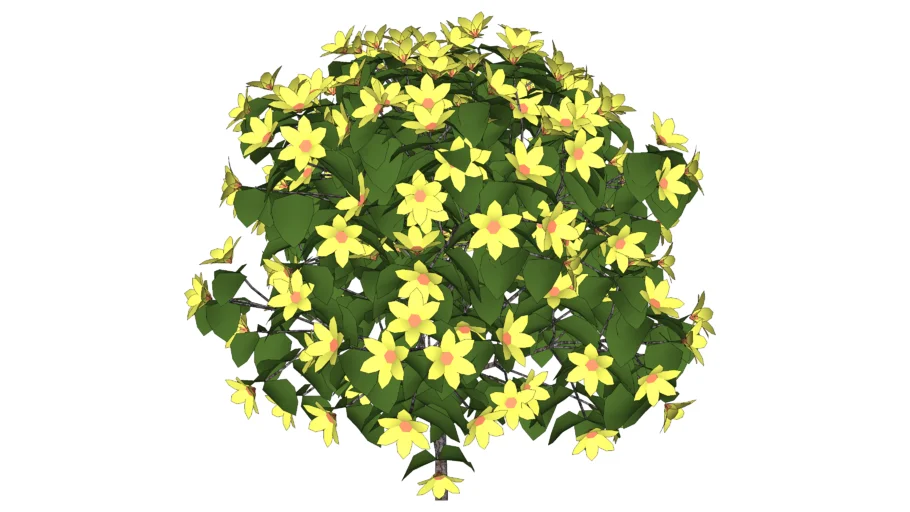 Arbusto com flores