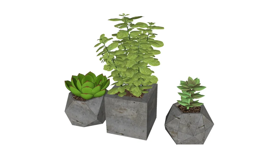 Mini plantes
