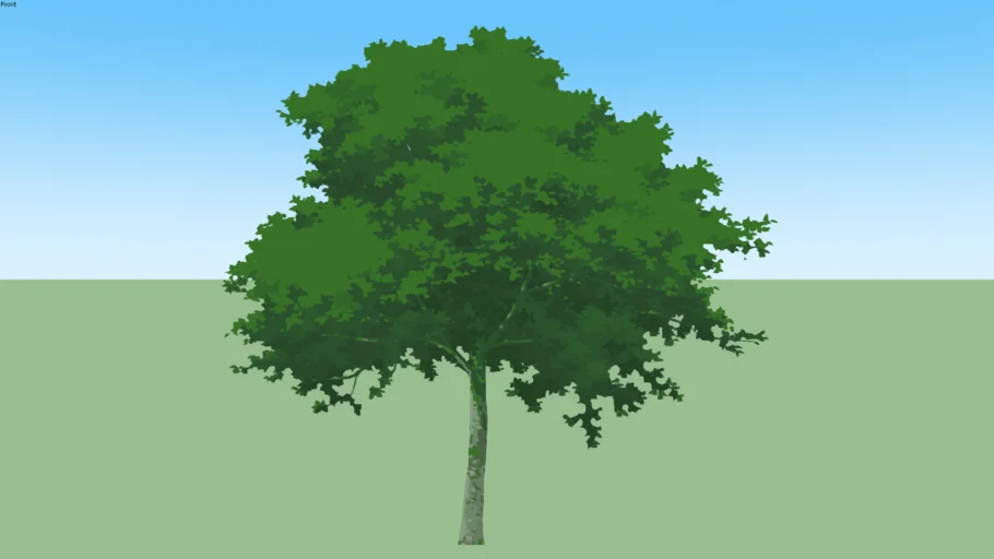 tree05f-d