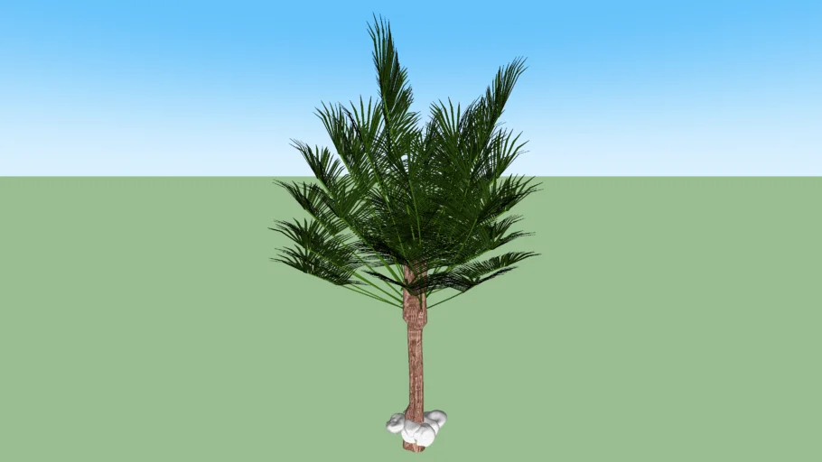 Palmeira