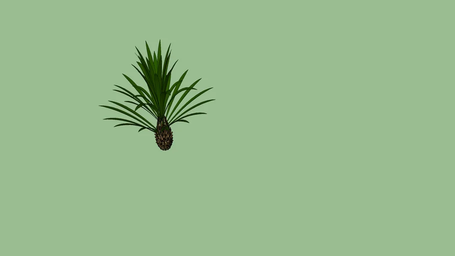 arbu