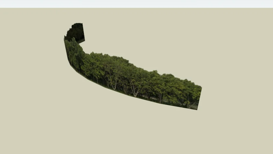 Nature Forest Background for Architecture