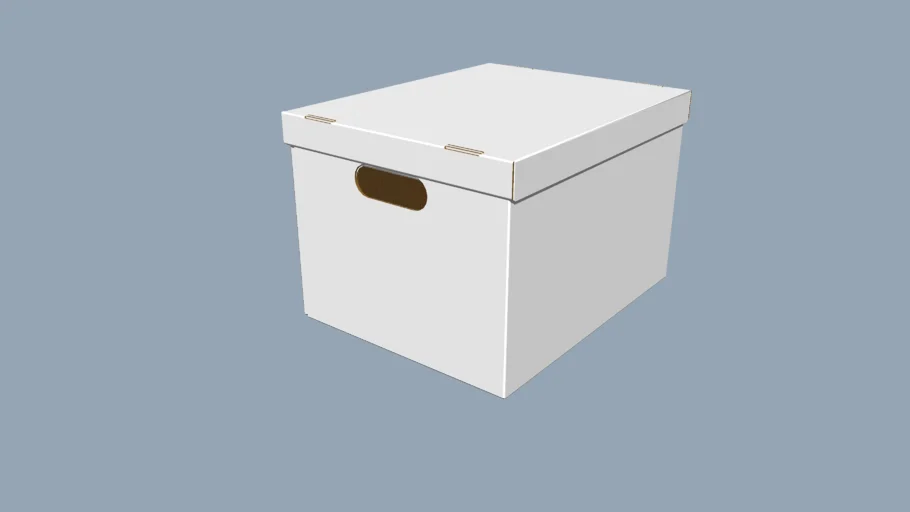 Cardboard Storage Box