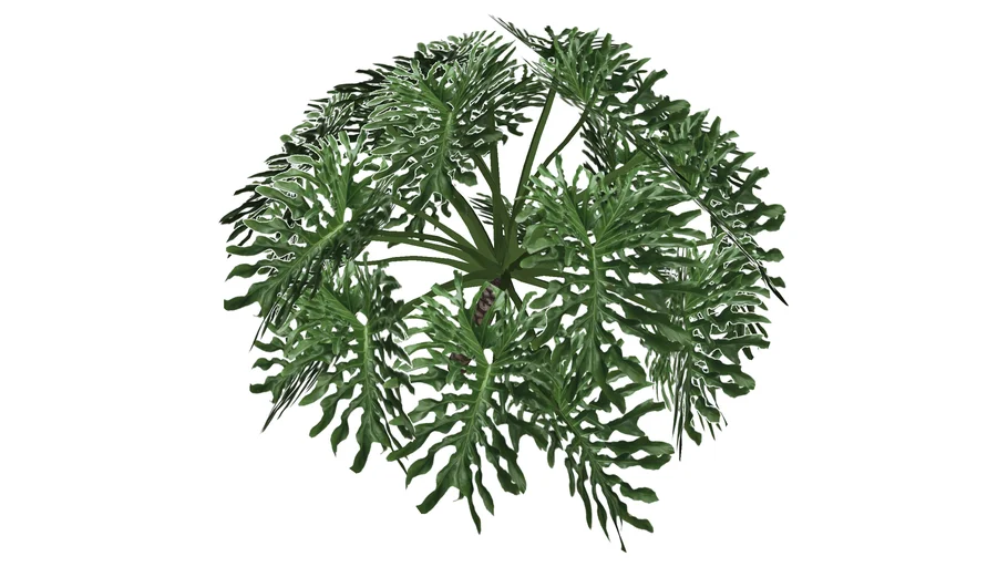 tree23