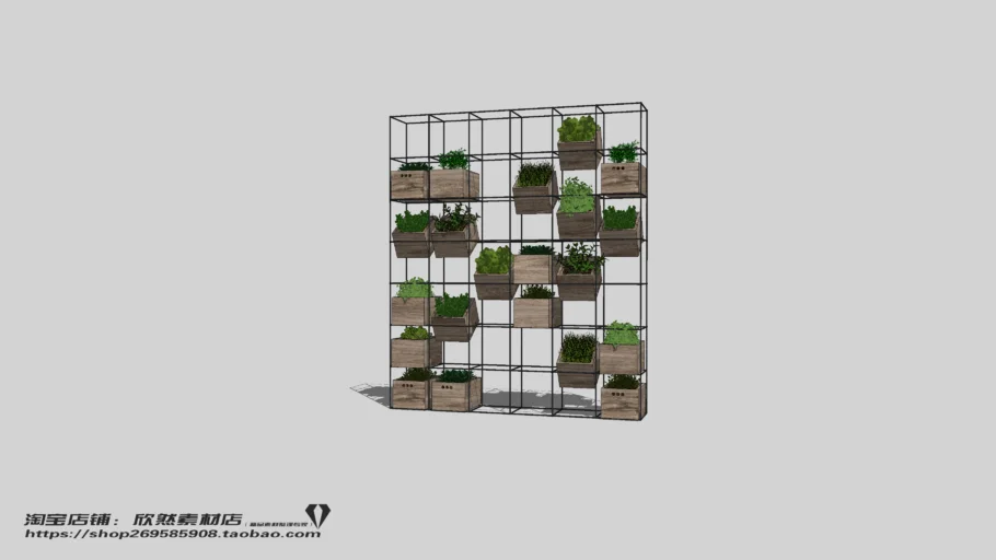 Indoor Plant（01）
