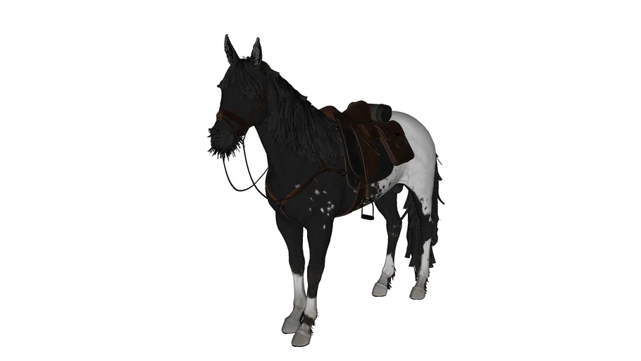 horse cheval cavalo caballo pferd paard hevonen kòn cal häst konj лошадь 马 馬 घोड़ा うま 말 con ngựa ม้า