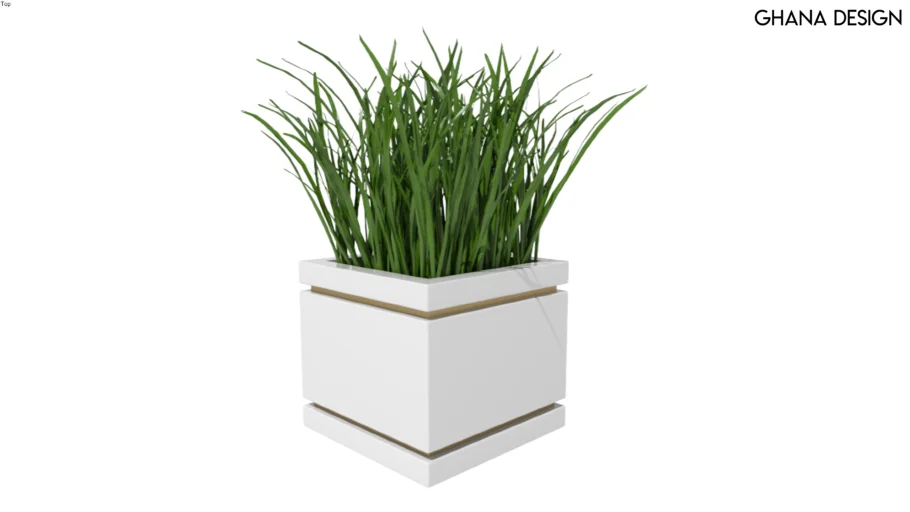 Contemporary Pot with Grass