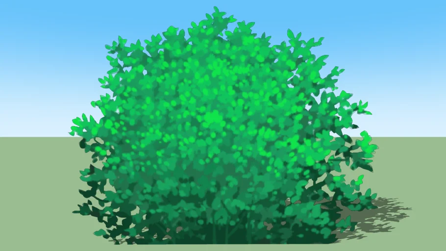 shrubbery02-b