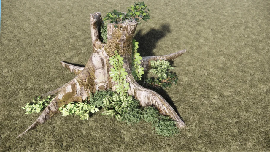 3D hollow old tree